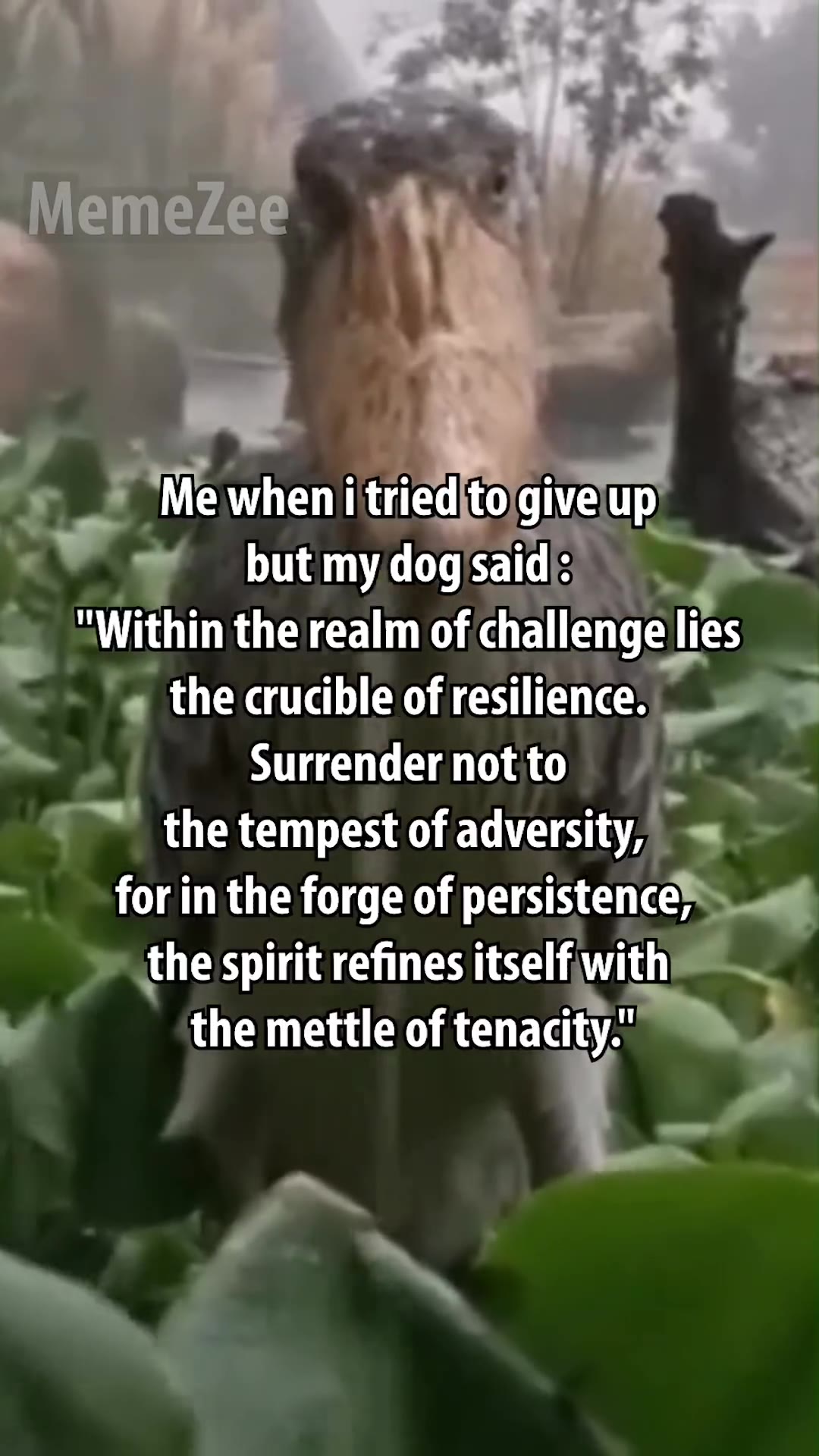 Within the realm of challengejlies _ 1 the crucible of resilience.ee 9 the tempest of adversity, be the spirit refines зе мил 7 the mettle of tenacity.” oe _Me when i tried|to\giveup__ , мМетерее У А