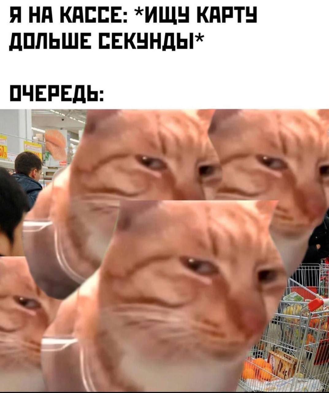 Я НА КАССЕ: *ИЩУ КАРТУ ДОЛЬШЕ ОЧЕРЕДЬ: