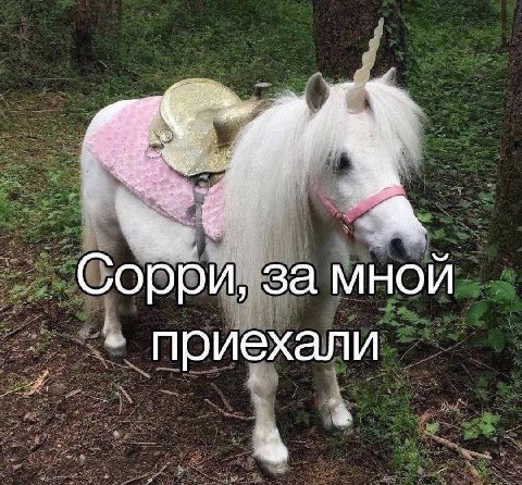 Сорри, за мной i приехали