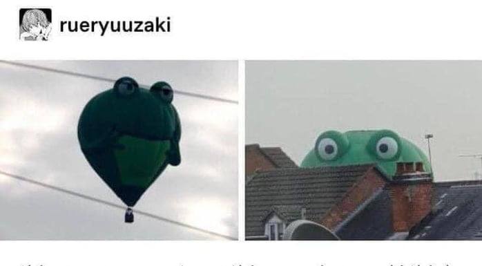 rueryuuzaki