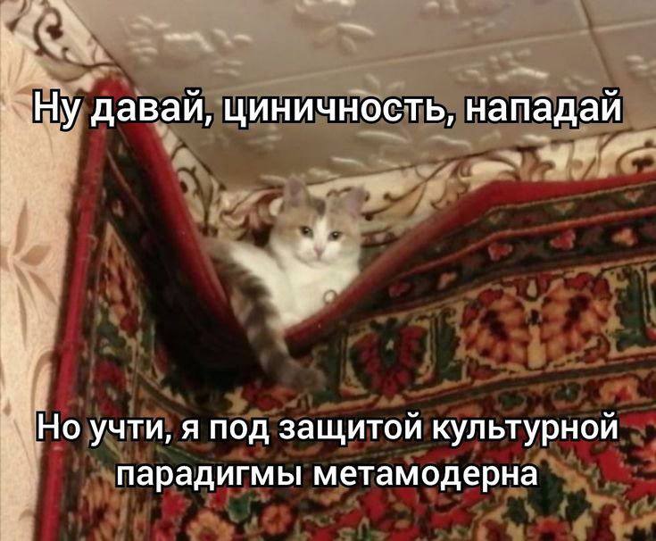 Ну даваи, циничность, нападай учти, я под защитой культурной парадигмы метамодерна