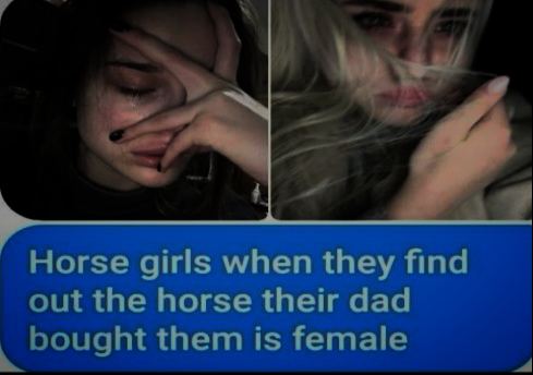 Horse girls when they find out the horse their dad bought them is female