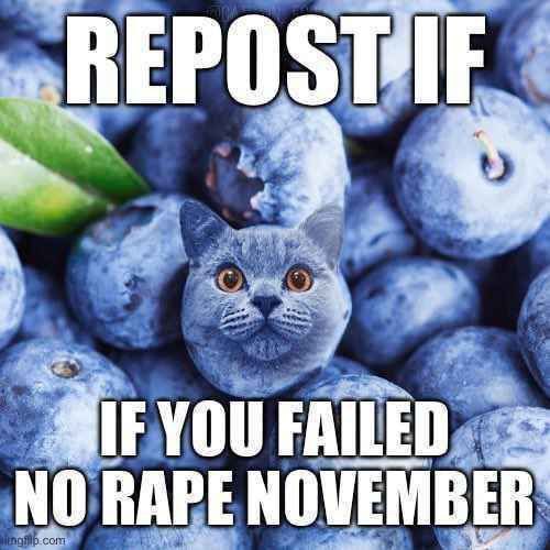 4 FAILED NO RAPE NOVEMBER