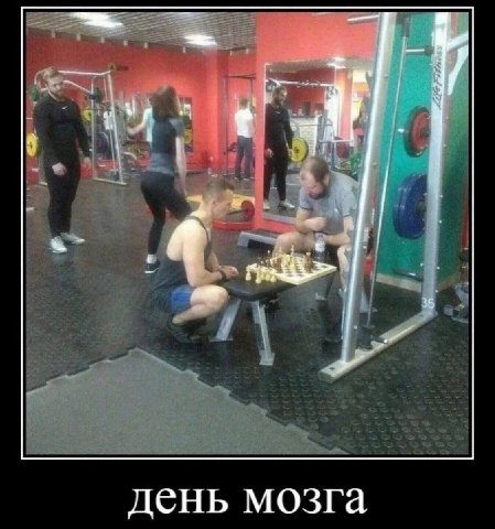 A день мозга