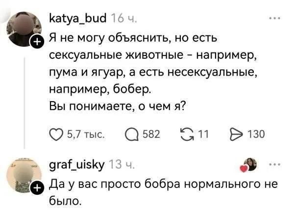 4 katya_bud 16 4 Яне могу объяснить, но есть сексуальные животные например, пума и ягуар, а есть несексуальные, например, бобер. Вы понимаете, о чем я? 5,7 тыс. 582 130 graf_uisky 13 4 Дау вас просто 
