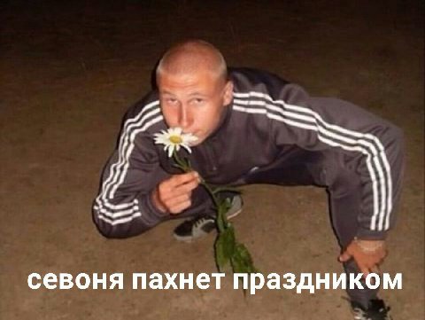 севоня пахнет праздником
