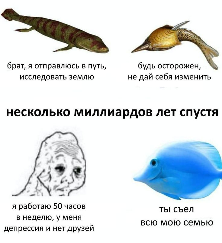 брат, я отправлюсь в путь, будь осторожен, исследовать землю не дай себя изменить несколько миллиардов лет спустя я работаю 50 часов ты съел в неделю, у меня всю мою семью депрессия и нет друзей