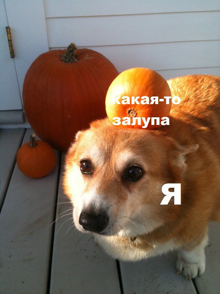 кая-т алупа