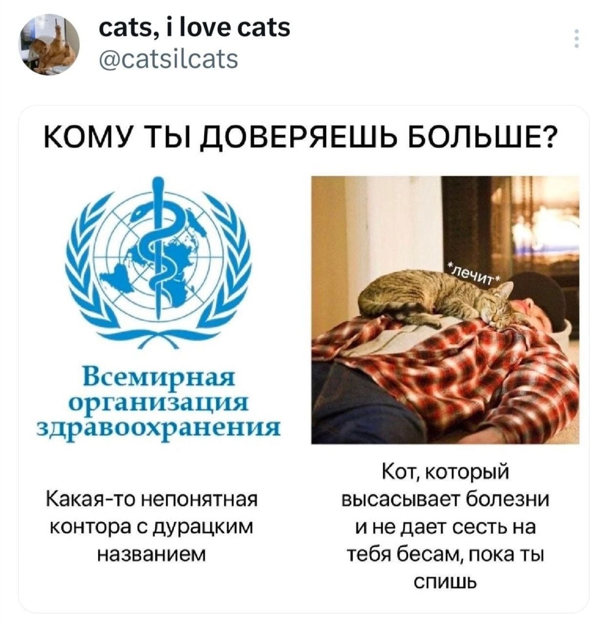 cats, i love cats @catsilcats КОМУ ТЫ ДОВЕРЯЕШЬ БОЛЬШЕ? А Ress Всемирная организация здравоохранения Кот, который Какая-то непонятная высасывает болезни контора с дурацким ине дает сесть на названием 
