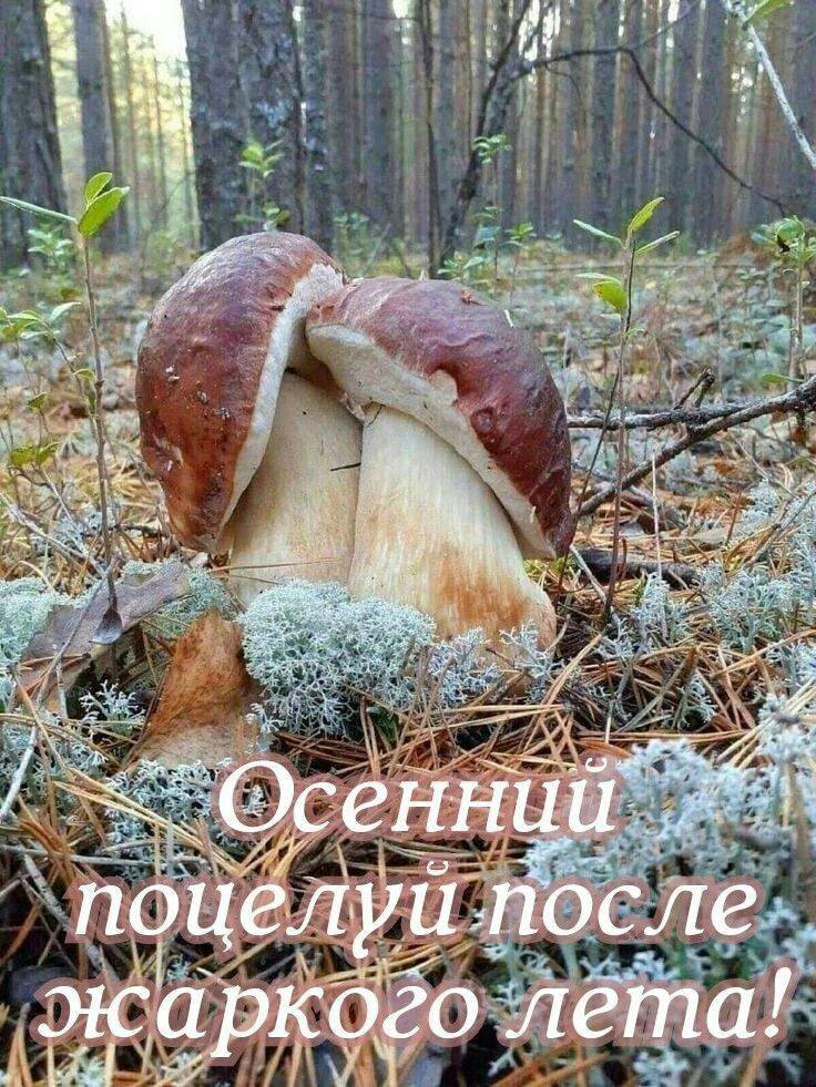 i! 4 и 5 «я AN, 5% 4 А поцелуй, после. [PKOZO лета!
