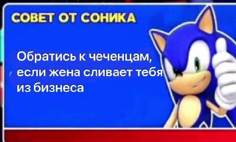 СОВЕТ ОТ СОНИКА Обратись к чеченцам, если жена сливает тебя из бизнеса