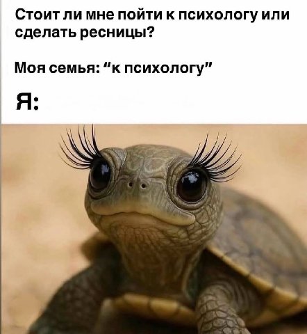 Стоит ли мне пойти к психологу или сделать ресницы? Моя семья: “к психологу” A