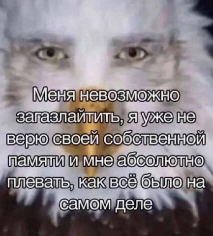 Меня невозможно загазлаитить, я уже не верю своей собственной памяти и мне абсолютно плевать. как всё: ‘было на самом деле