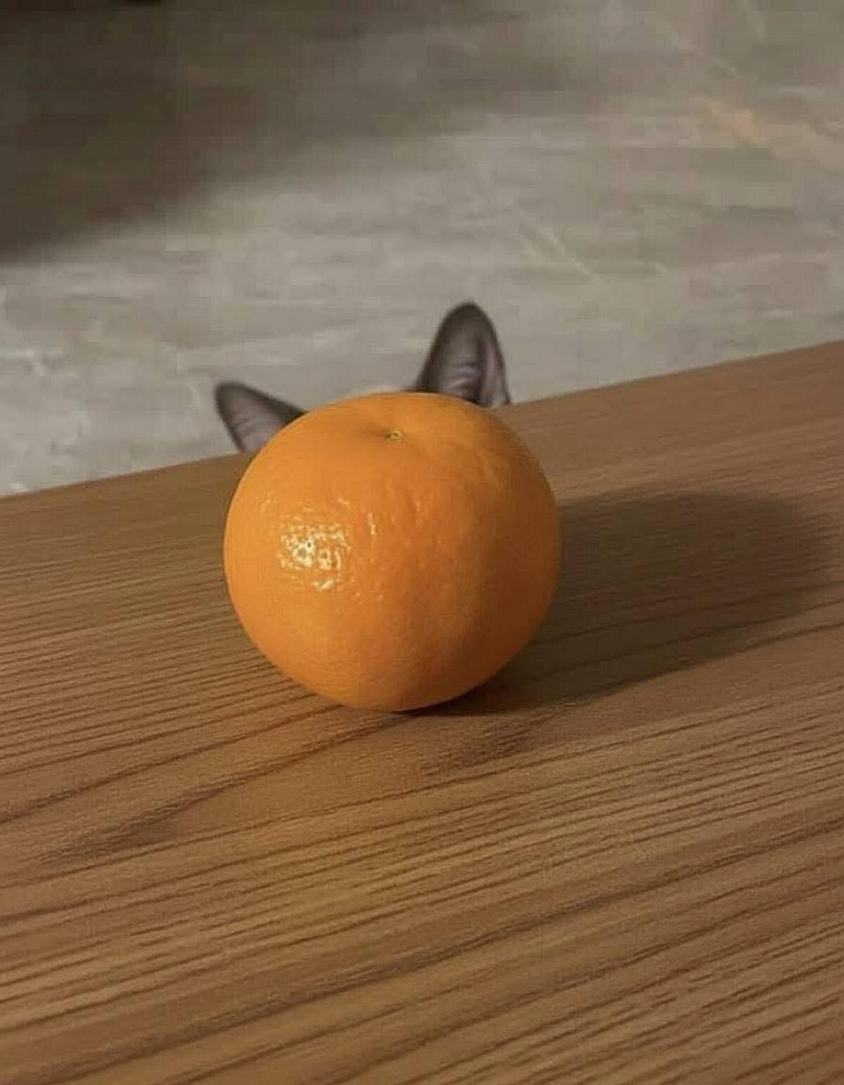 А 1 у