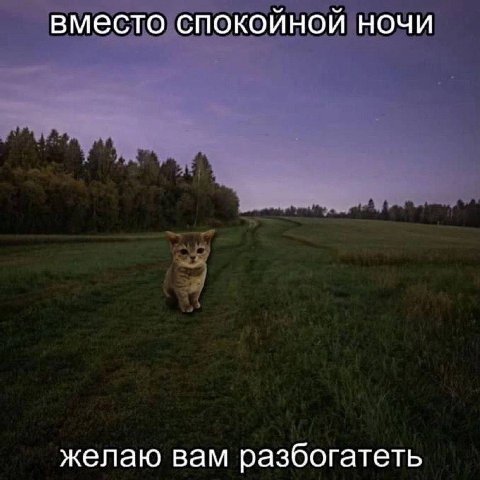 вместо спокойной ночи желаю вам разбогатеть