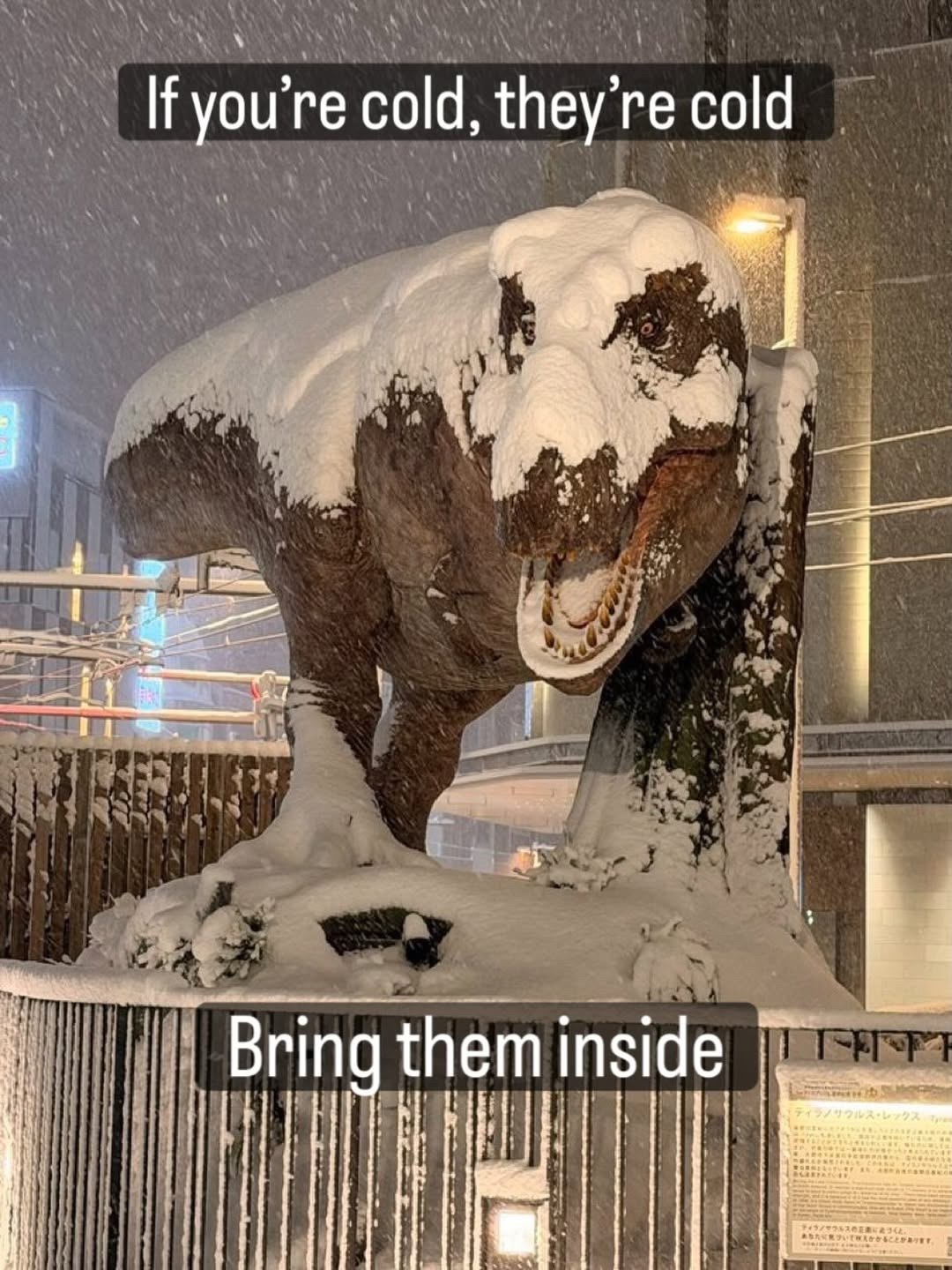 If you're cold, they're cold Я У Bring them inside