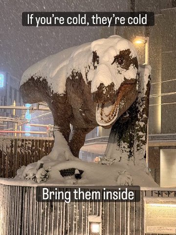 If you're cold, they're cold Я У Bring them inside