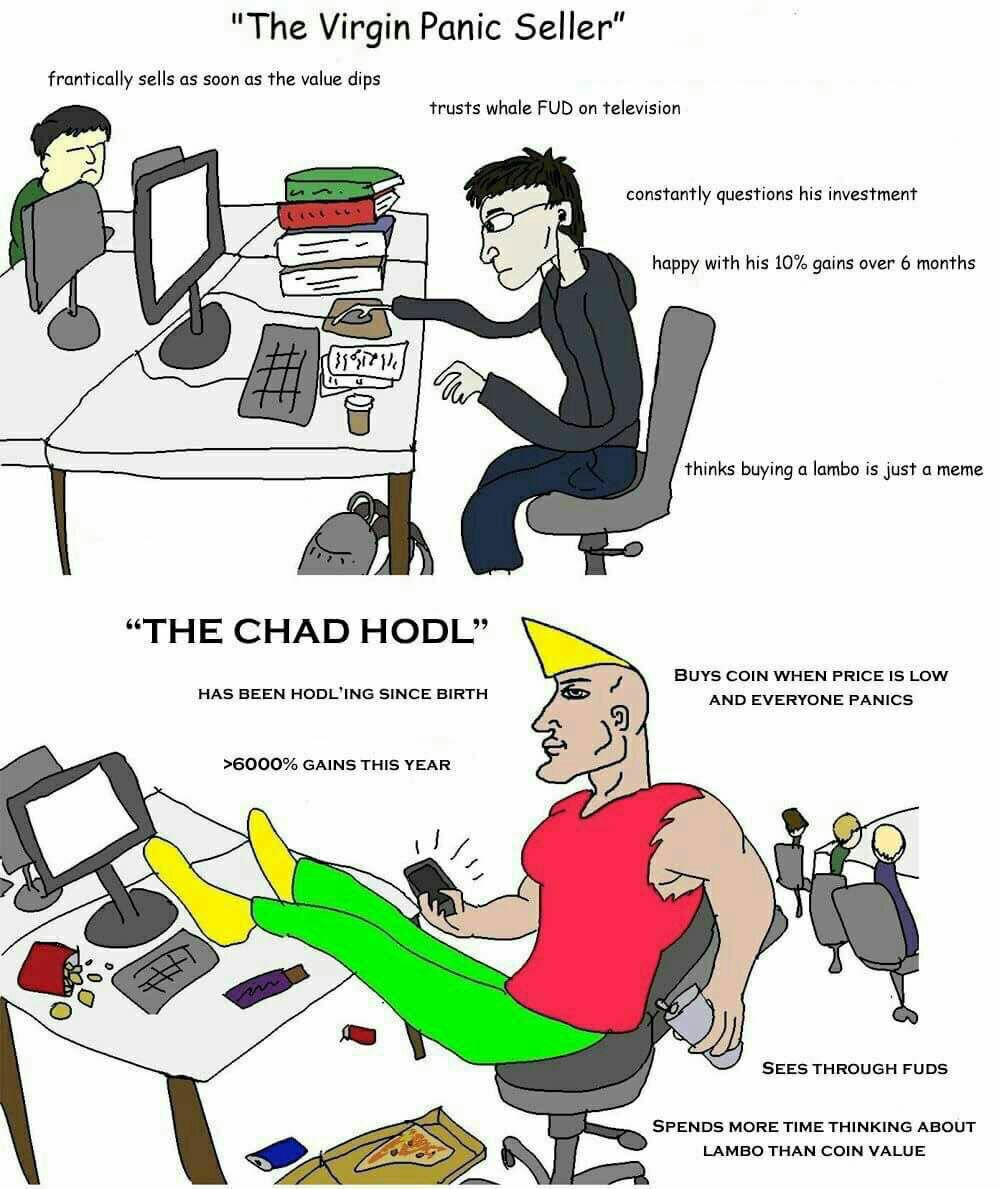 и я The Virgin Panic Seller frantically sells as soon as the value dips trusts whale FUD on television a constantly questions his investment 18 happy with his 10% gains over 6 months thinks buying a l