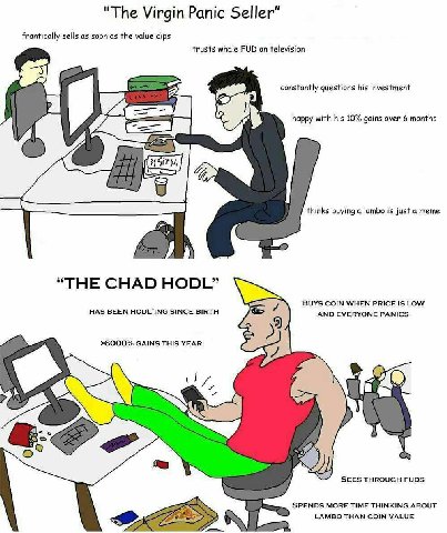 и я The Virgin Panic Seller frantically sells as soon as the value dips trusts whale FUD on television a constantly questions his investment 18 happy with his 10% gains over 6 months thinks buying a l