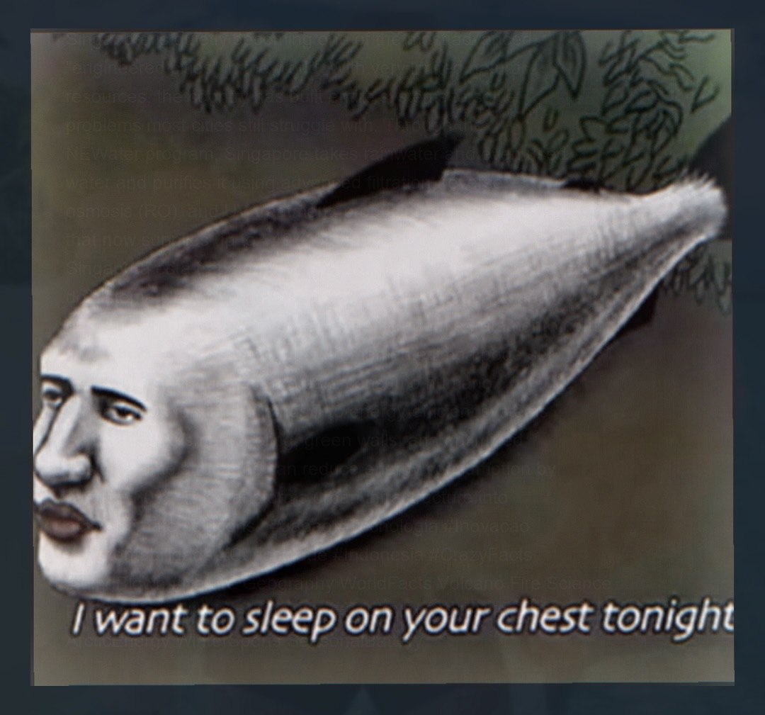 want to sleep on your chest tonight
