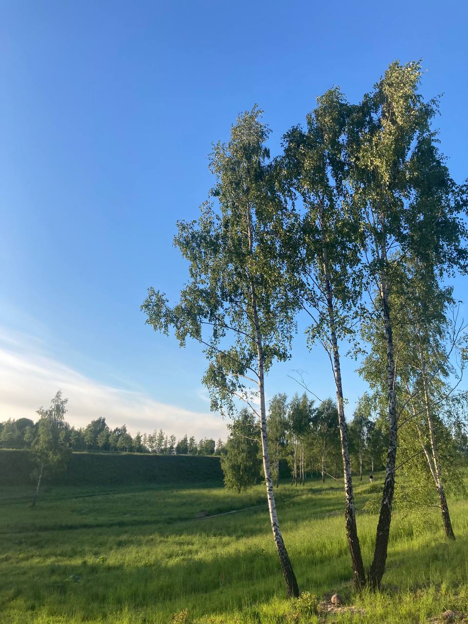 как же охуенно на Руси