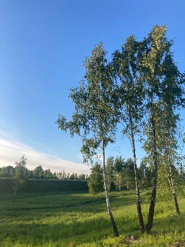 как же охуенно на Руси