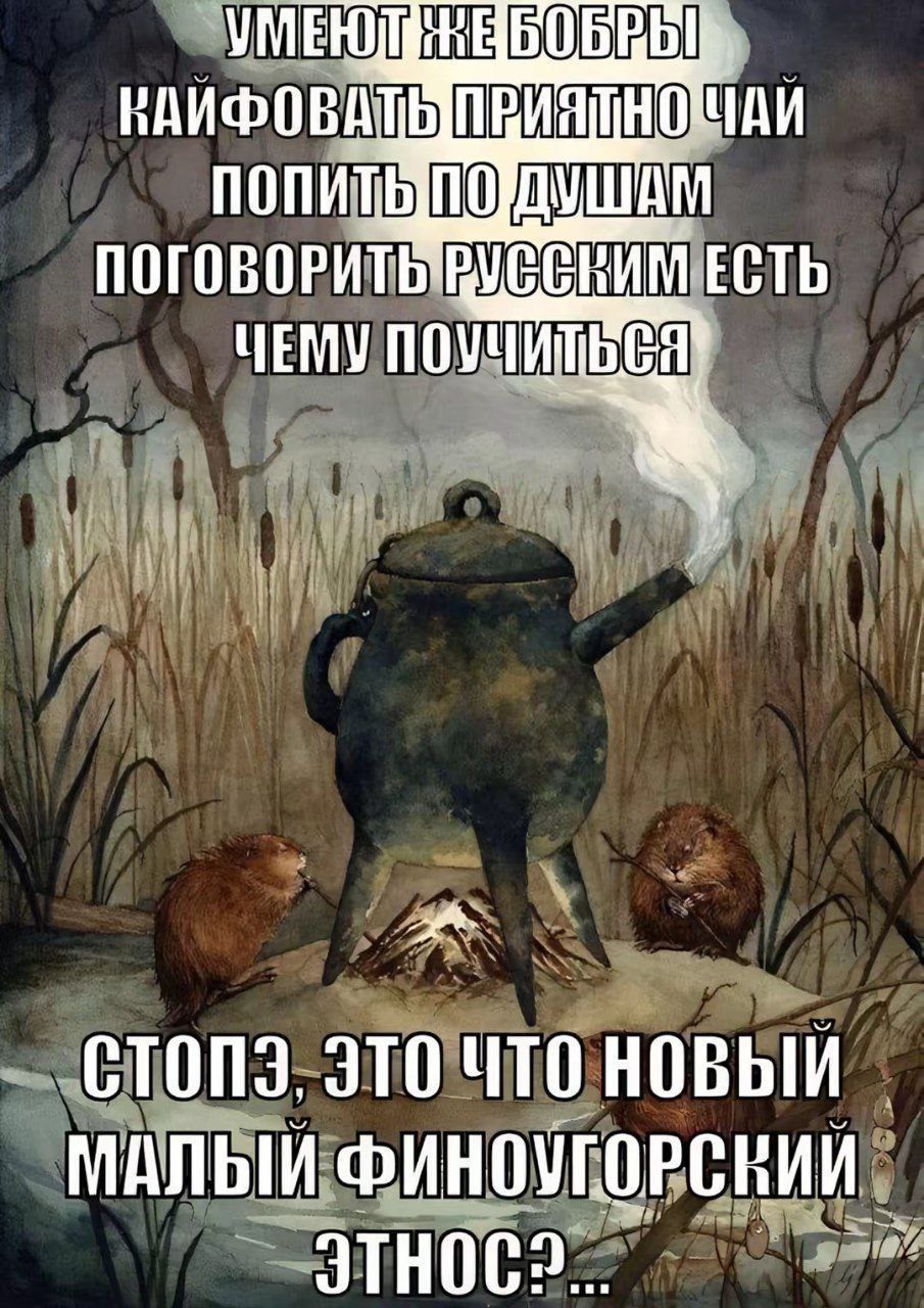 ЕСТЬ ЧЕМУ ПОУЧИЩЬСЯ ЭТО ЧТО МАЛЫЙ ФИНОУГОРСНИЙ ITHOC?...