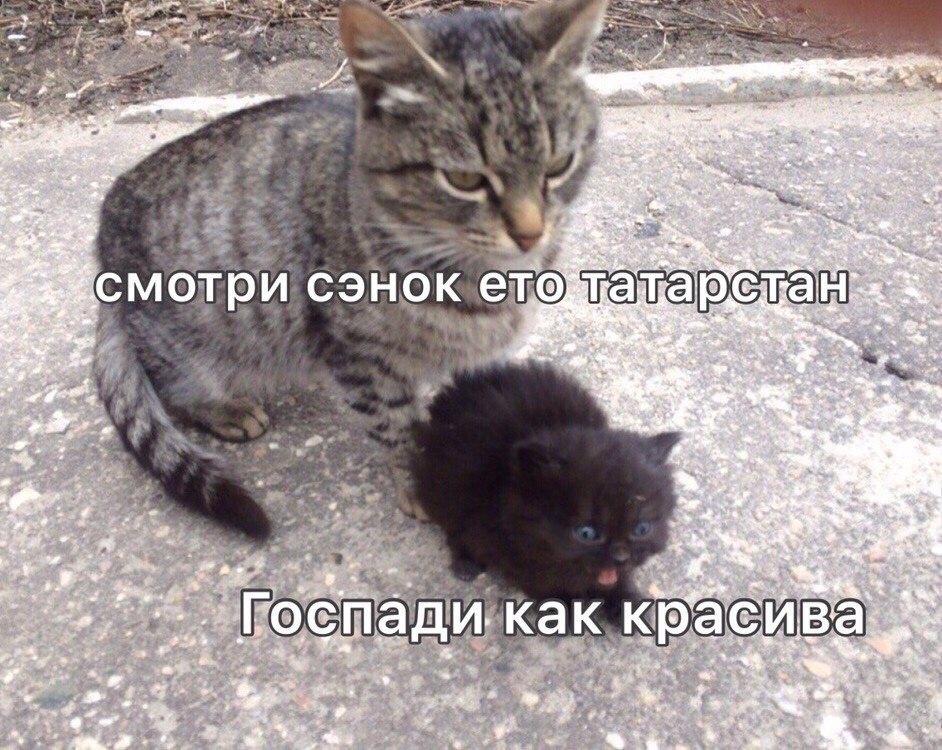 2 “Sees смотри сэнок у красива красива 4
