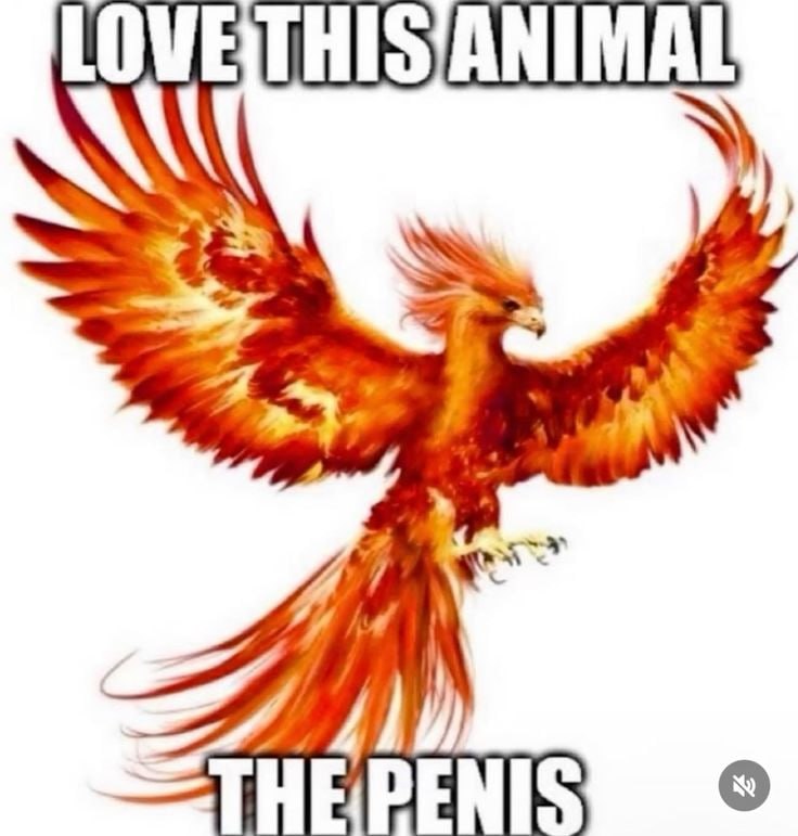 like the legend of a