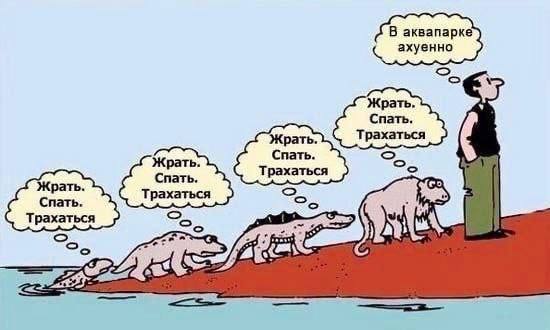В аквапарке ахуенно Жрать Спать рахаться Жрать Спать Жрать Спать Трахаться Трахаться