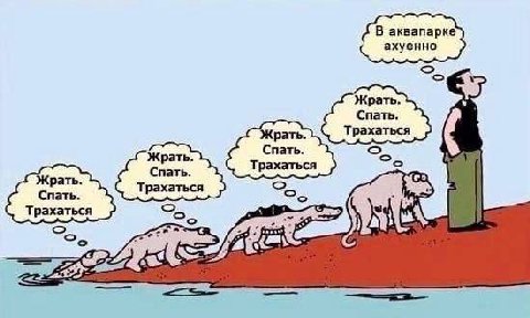 В аквапарке ахуенно Жрать Спать рахаться Жрать Спать Жрать Спать Трахаться Трахаться
