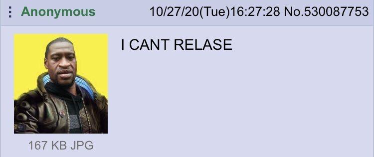 Anonymous 10/27/20(Tue)16:27:28 No.530087753 CANT RELASE 167 JPG