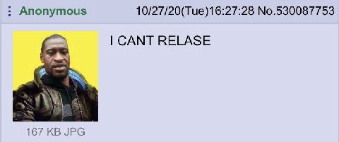 Anonymous 10/27/20(Tue)16:27:28 No.530087753 CANT RELASE 167 JPG