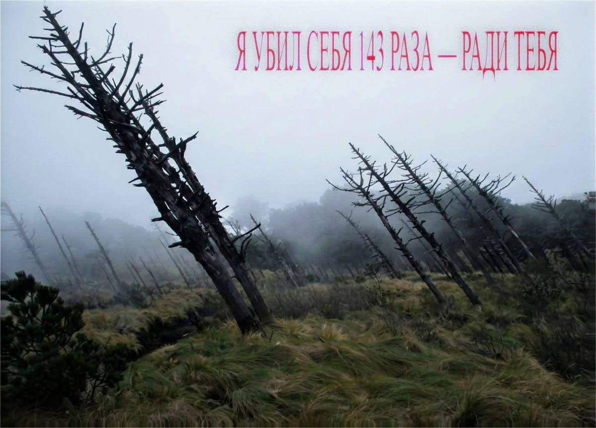 бля мне ебанутый сон на тему снился лет в 14