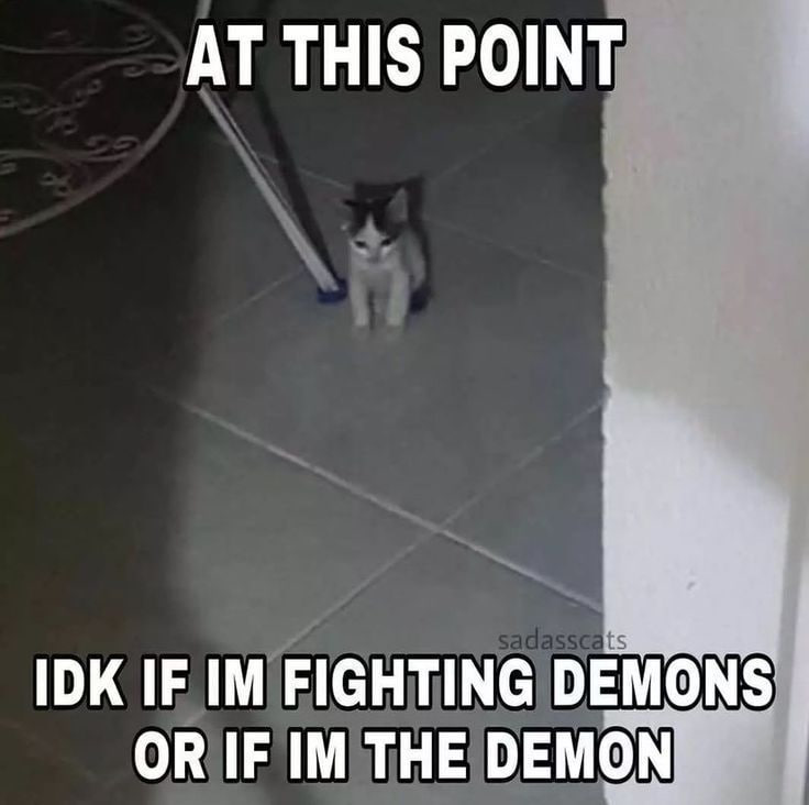 THIS POINT IDK IF FIGHTING DEMONS OR IF THE DEMON
