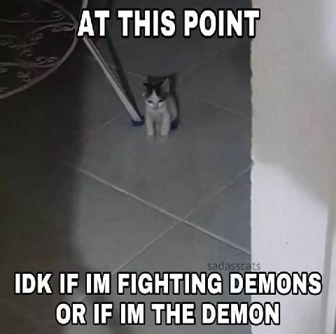 THIS POINT IDK IF FIGHTING DEMONS OR IF THE DEMON