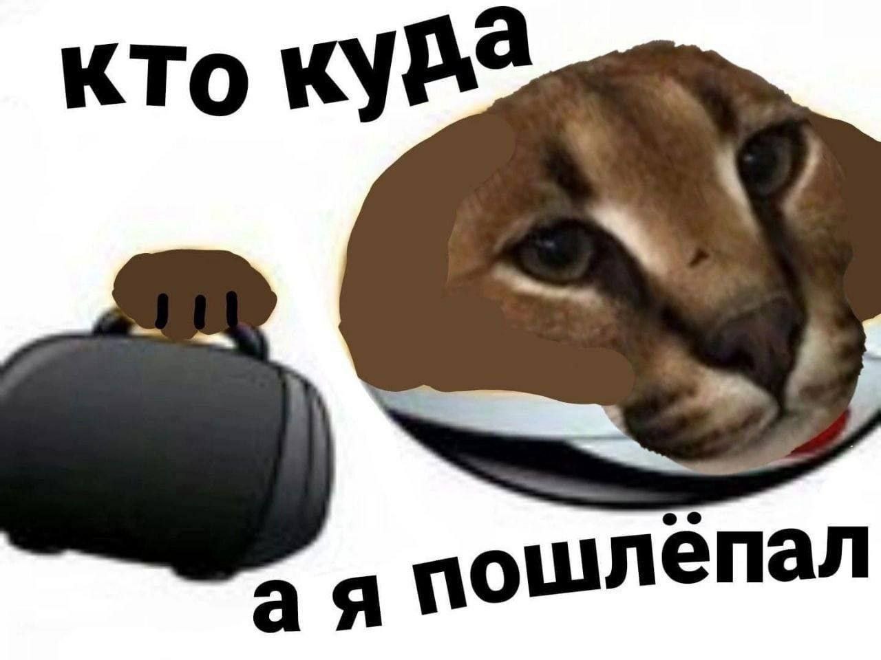 кто а я пошлепал