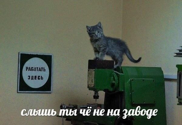 слышь пил чё не на заводе