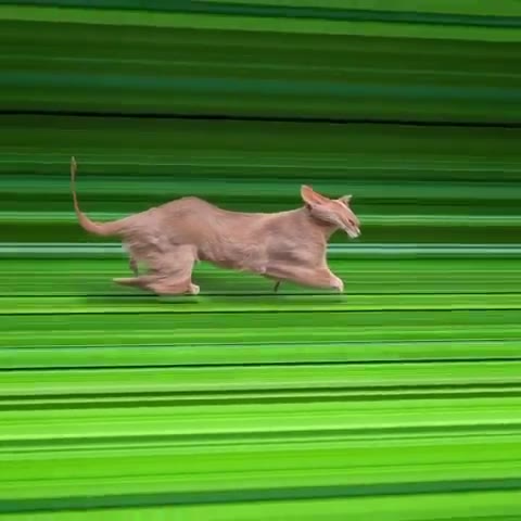 Е ниииннии