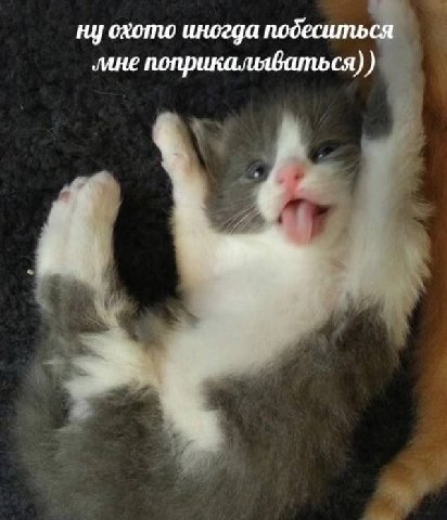 ну охото иногда подеситься ‚мне поприкальваться)