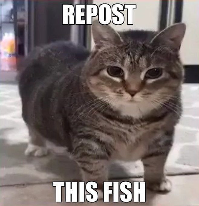 REPOS THIS FISH