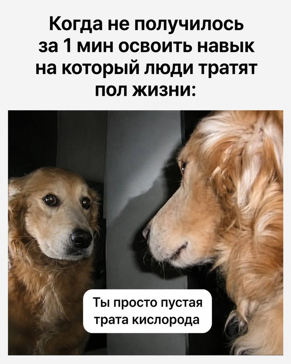 Когда не получилось за 1 мин освоить навык на который люди тратят ПОЛ ЖИЗНИ: и AN Ты просто пустая трата кислорода