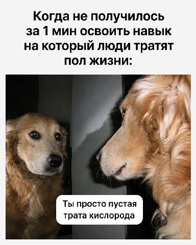 Когда не получилось за 1 мин освоить навык на который люди тратят ПОЛ ЖИЗНИ: и AN Ты просто пустая трата кислорода