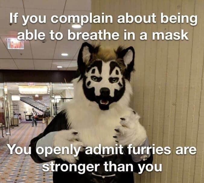 If you complain about being „аЫе to breathe a mask You openly admit furries are stronger than you