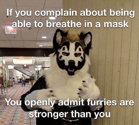 If you complain about being „аЫе to breathe a mask You openly admit furries are stronger than you