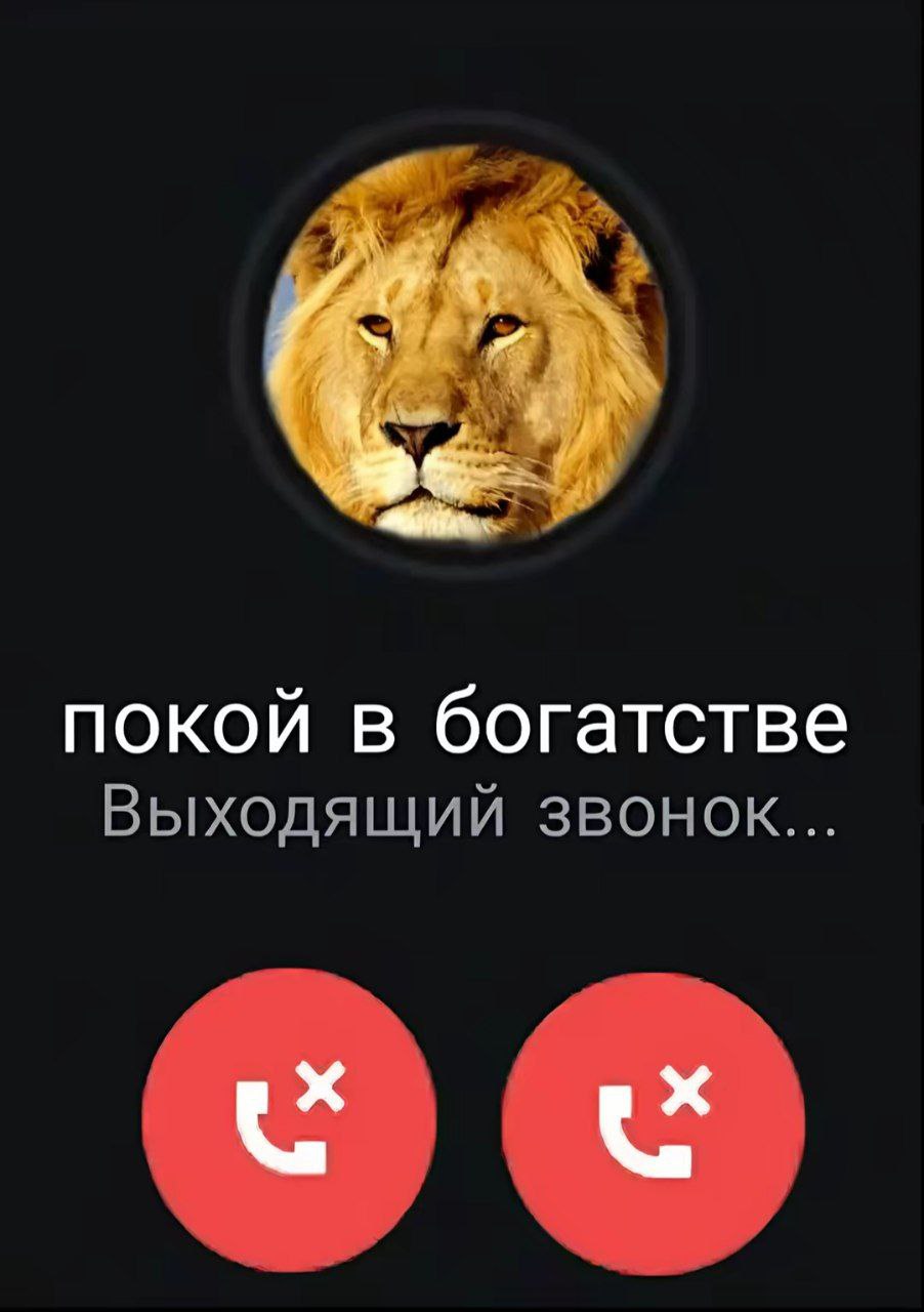 покой в богатстве Выходящий звонок...