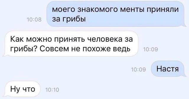 моего знакомого менты приняли за грибы Как можно принять человека за грибы? Совсем не похоже ведь Настя Ну что