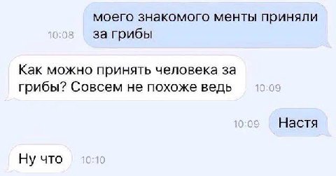 моего знакомого менты приняли за грибы Как можно принять человека за грибы? Совсем не похоже ведь Настя Ну что