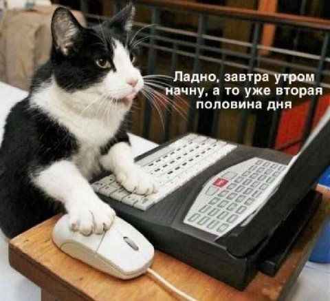 Ладно, завтра утром начну, а то уже вторая половина дня