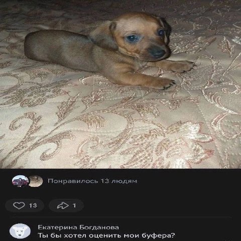 2 Понравилось 13 людям Екатерина Богданова Ты бы хотел оценить мои буфера?